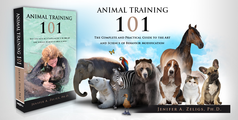 Animal Training 101